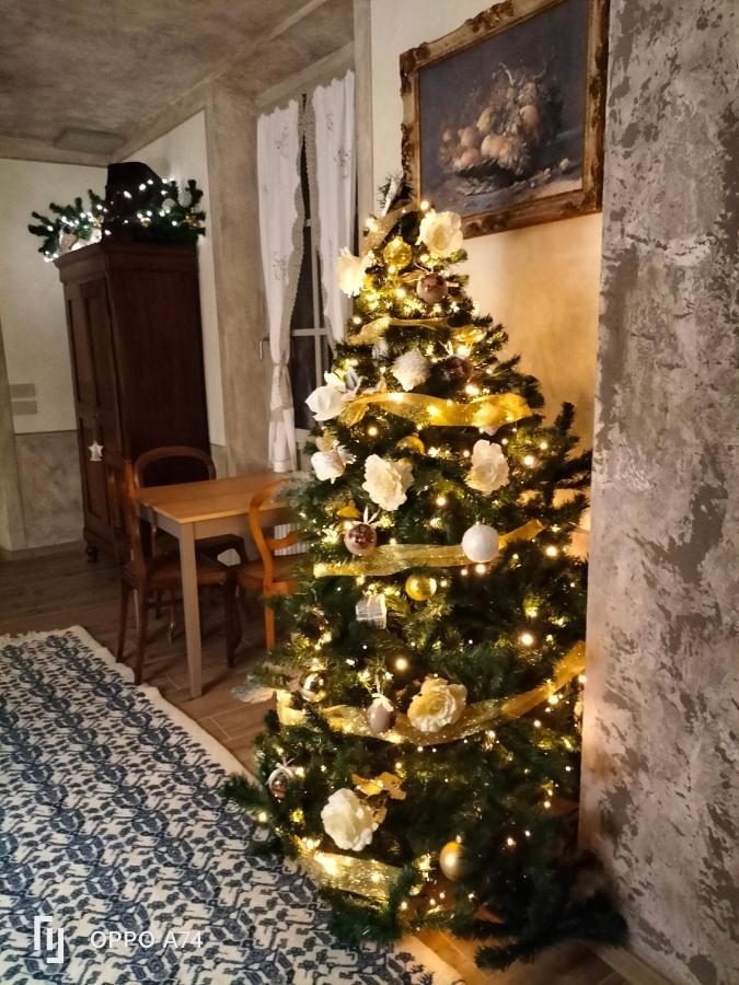 B&B Sasso Di Rocca Gaggio Montano Exterior photo